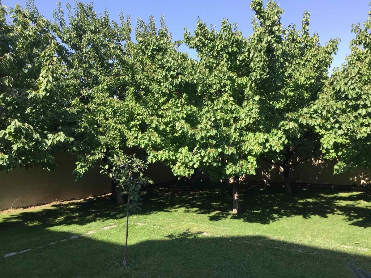 Виллы Cozy House In Yerevan City Center Ереван-25