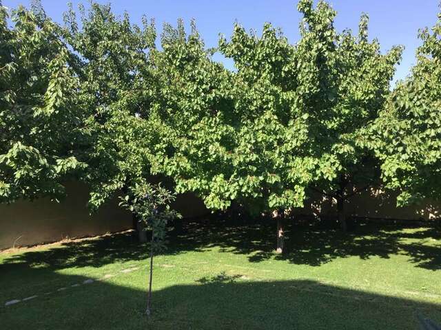 Виллы Cozy House In Yerevan City Center Ереван-24